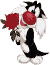 Silvestre_small.gif
