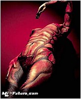 escorpion.jpg